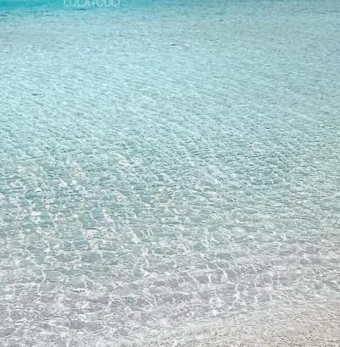 Core A Core بيت للعطل